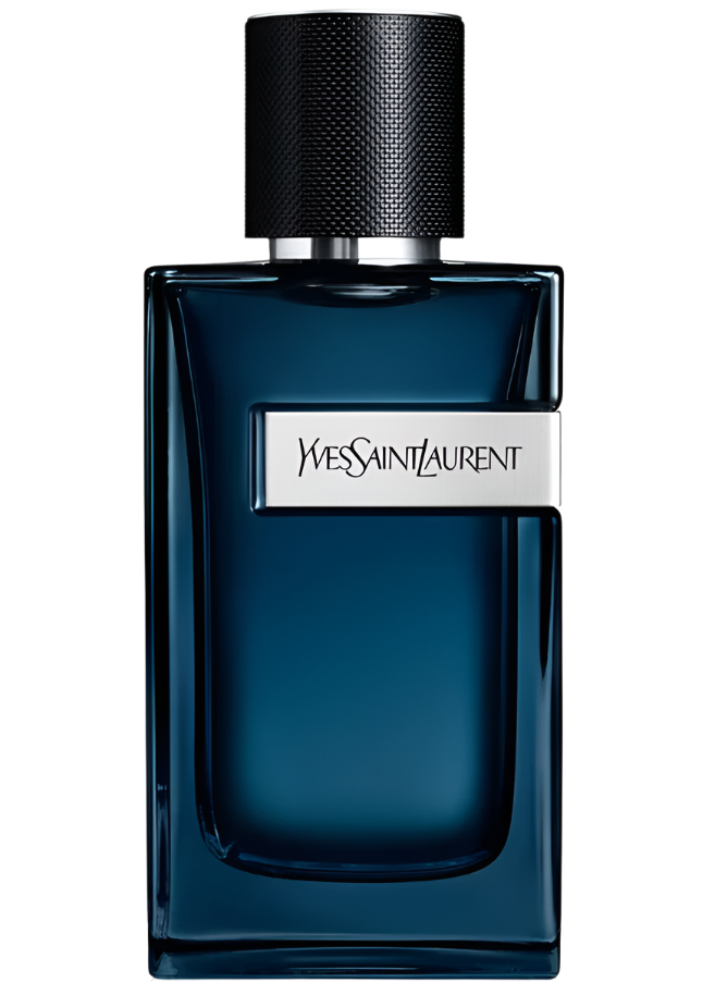 YVES SAINT LAURENT Y EDP INTENSE